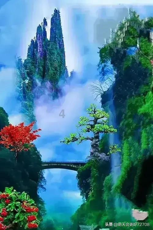 妙鸭相机app下载官网