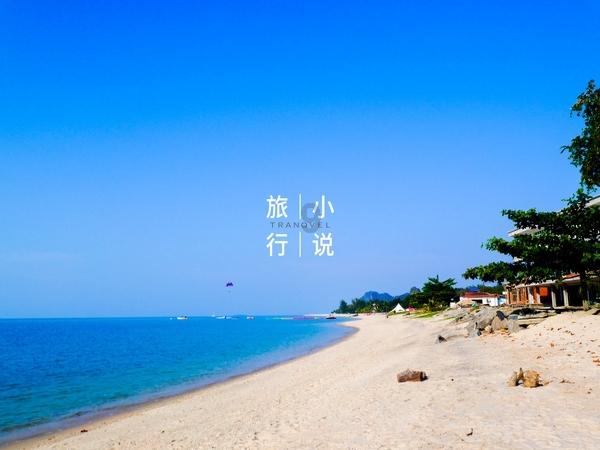 动物帮帮忙保卫家园