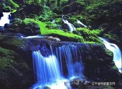本是同根生的姐妹，芈月和芈姝却剑拔弩张，两个人为何反目成仇？