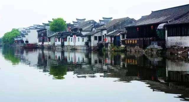 动物狂欢夜