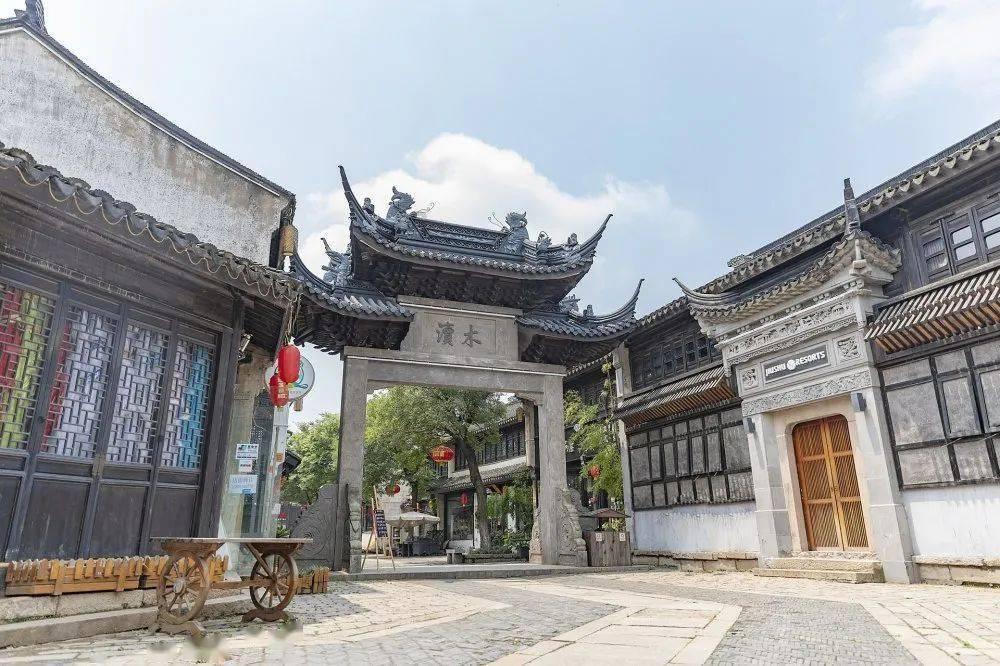 放飞笼中鸟
